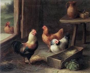 unknow artist poultry  161 France oil painting art